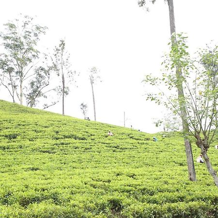 Ella Tea Land View Apartment Exterior photo