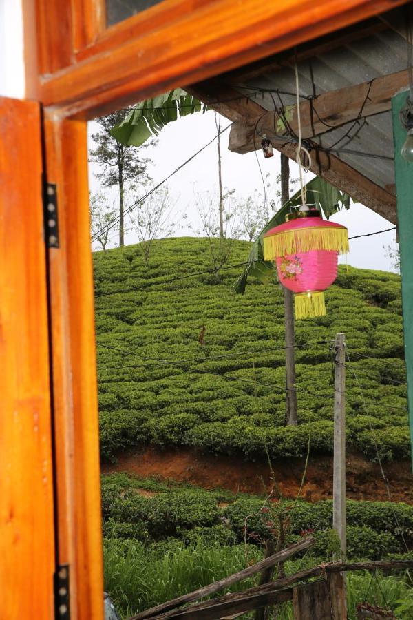 Ella Tea Land View Apartment Exterior photo